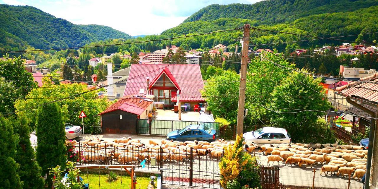 Băile Olăneşti Casa Giulia酒店 外观 照片